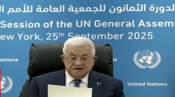 الرئيس الفلسطيني بالأمم المتحدة يثمن الدور السعودي الفرنسي في إحياء حل الدولتين